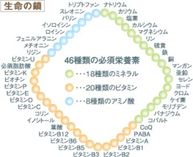 生命の鎖